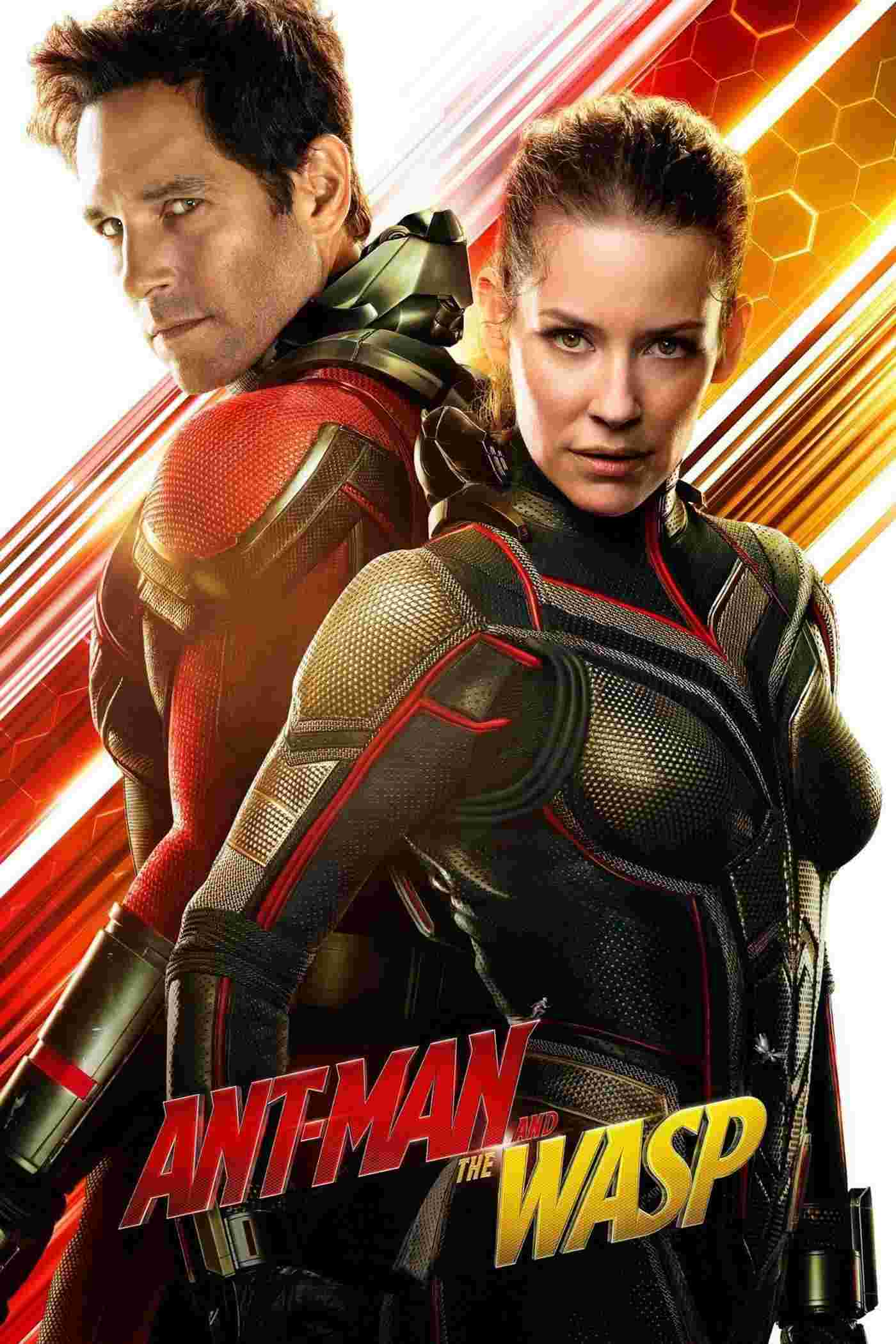 Ant-Man and the Wasp (2018) Paul Rudd